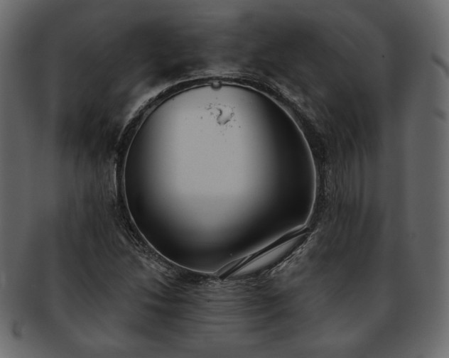 X0000093381214200710191128