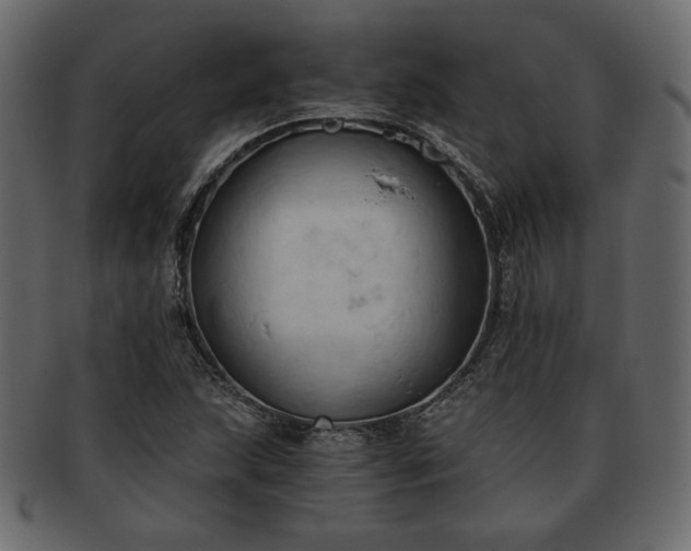X0000093381215200710191128