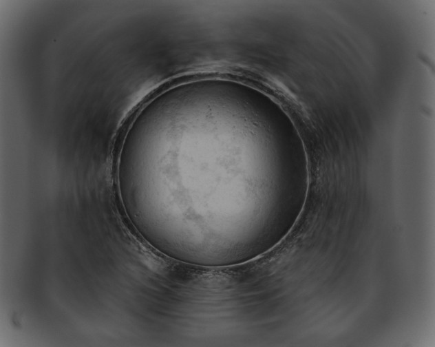 X0000093381216200710191128