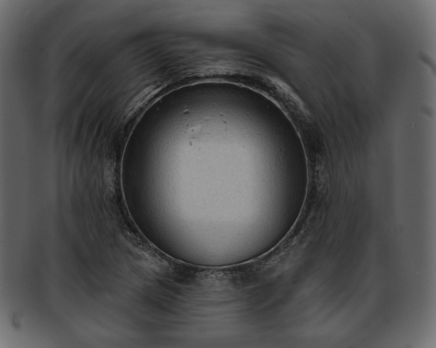 X0000093381217200710191128