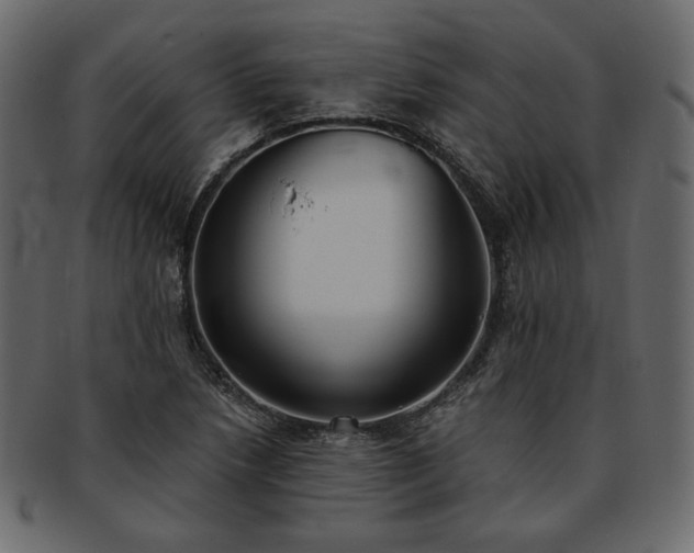 X0000093381218200710191128