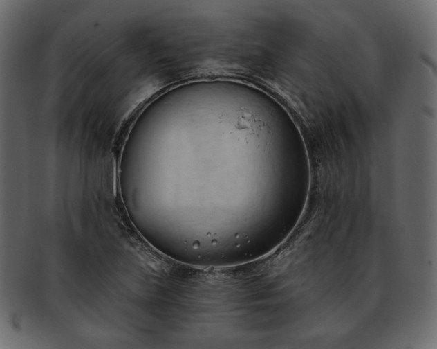 X0000093381219200710191128