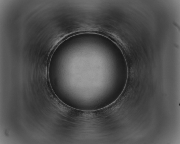 X0000093381220200710191128