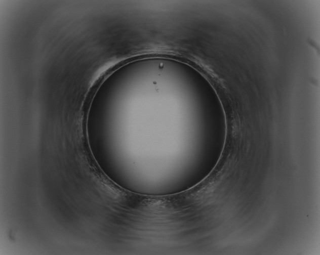 X0000093381222200710191128
