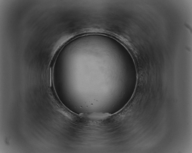 X0000093381223200710191128