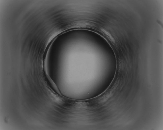 X0000093381226200710191129