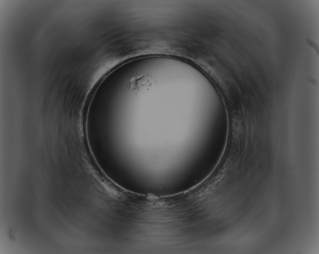 X0000093381230200710191129