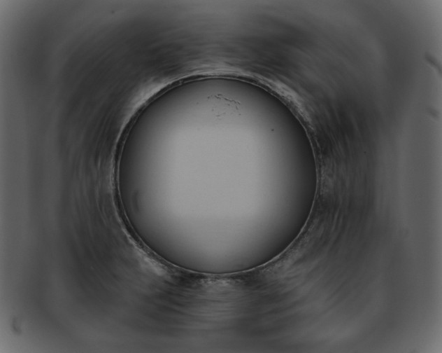 X0000093381231200710191129