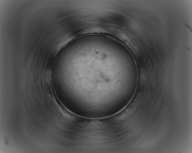 X0000093381233200710191129