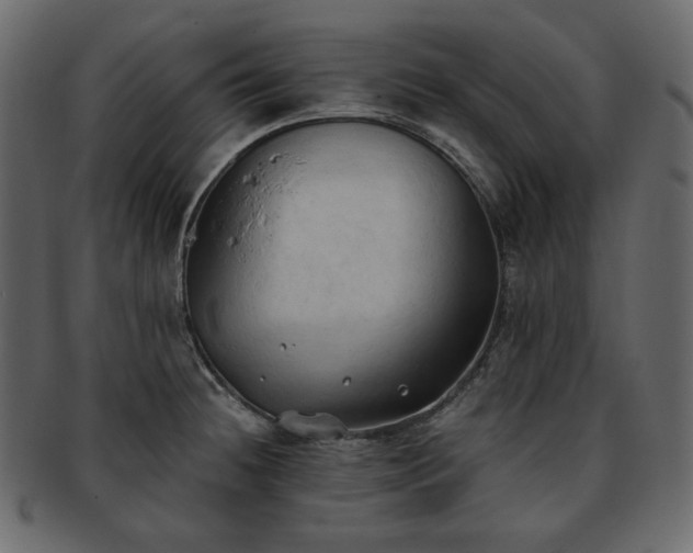 X0000093381236200710191129