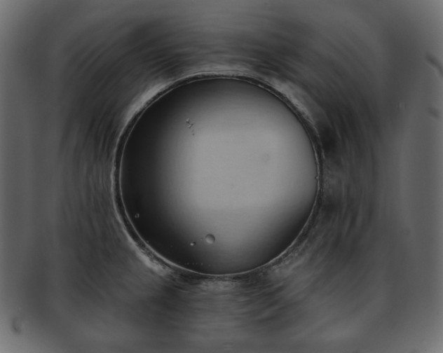 X0000093381237200710191129