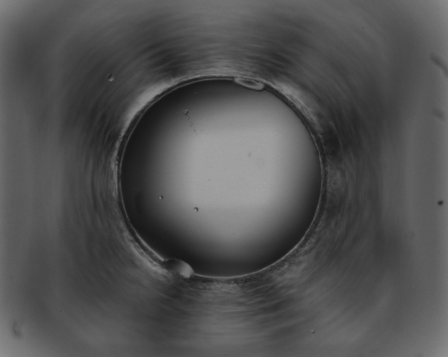 X0000093381238200710191129