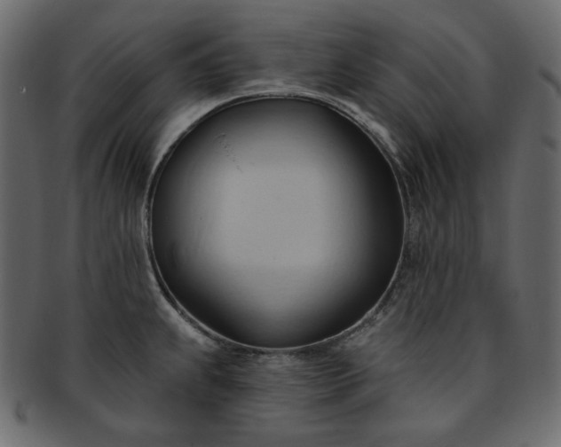 X0000093381239200710191129