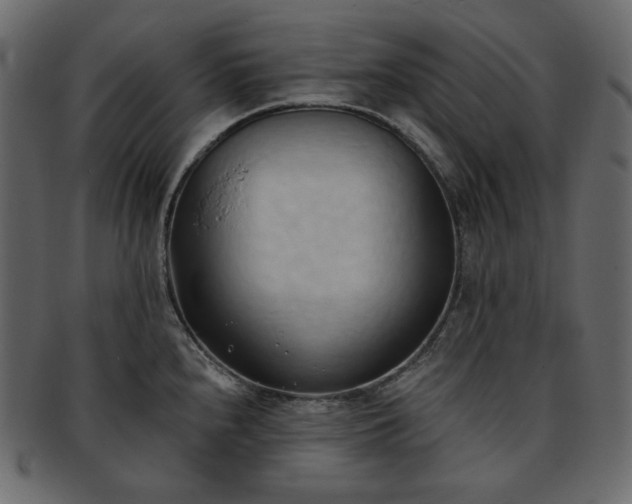 X0000093381240200710191129
