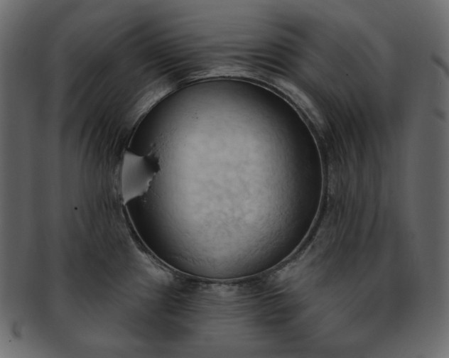 X0000093381241200710191129