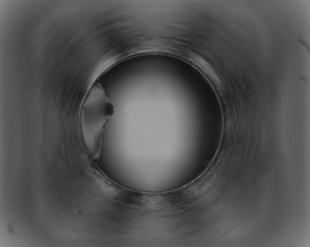 X0000093381242200710191129