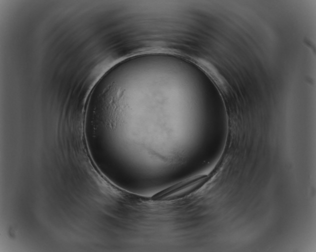 X0000093381244200710191129