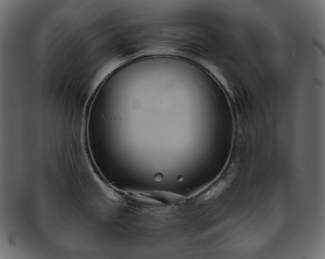 X0000093381245200710191129