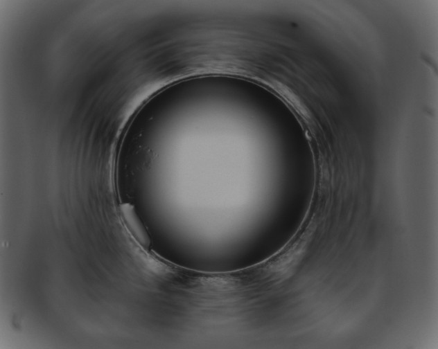 X0000093381246200710191129