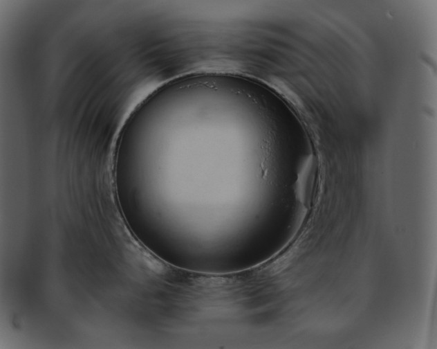 X0000093381248200710191129