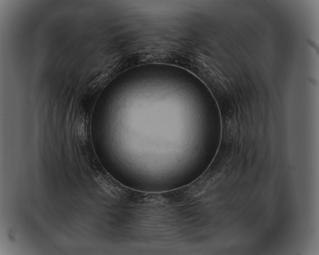 X0000093381250200710191128