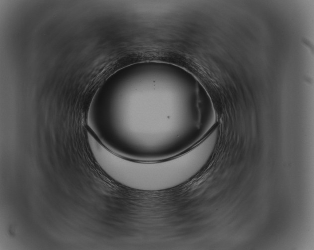 X0000093381251200710191128