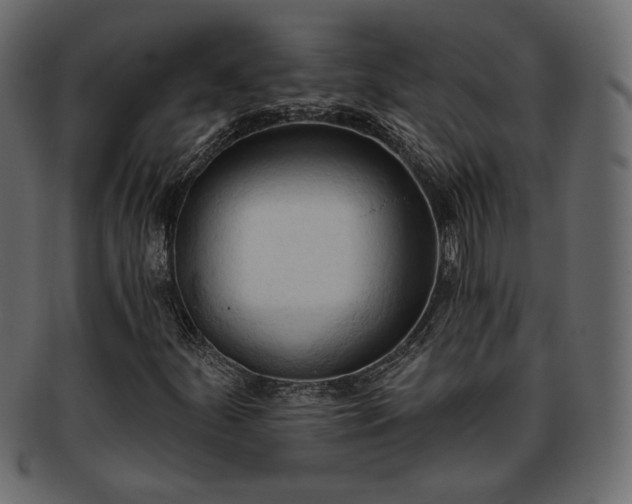X0000093381252200710191128