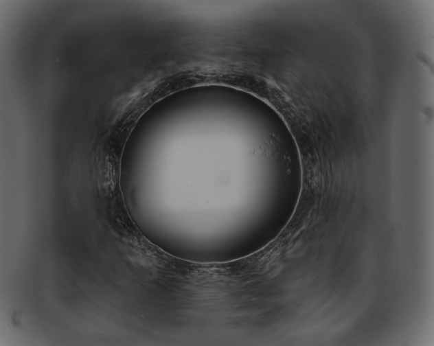 X0000093381253200710191128