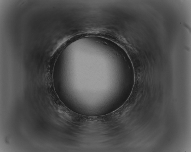 X0000093381256200710191128