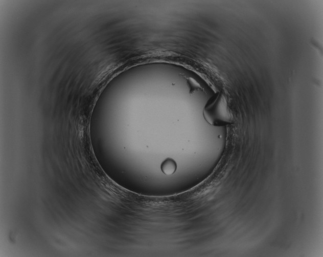 X0000093381257200710191128