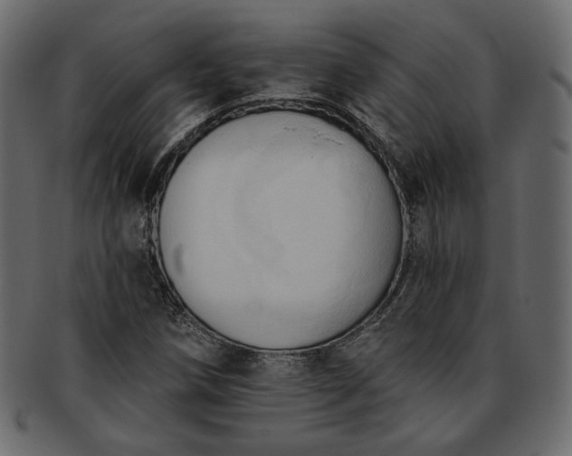 X0000093381258200710191128