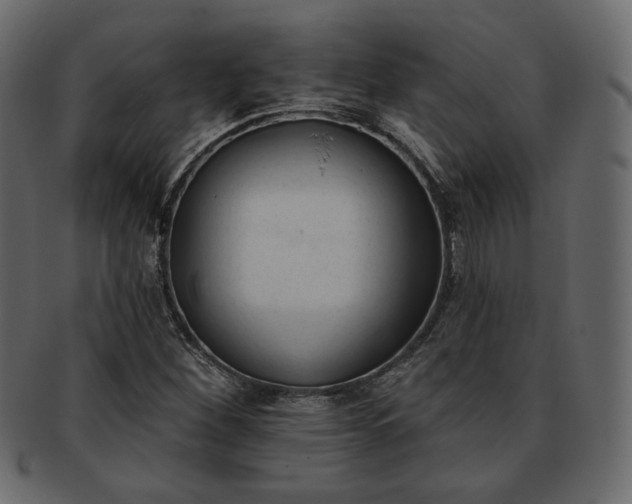 X0000093381260200710191128