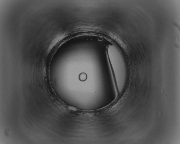 X0000093381261200710191128