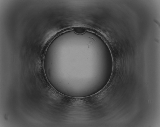 X0000093381263200710191128