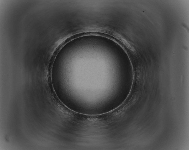 X0000093381264200710191128