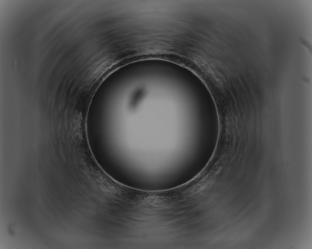 X0000093381265200710191128