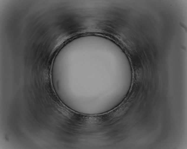 X0000093381266200710191128