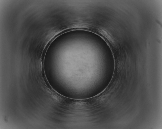 X0000093381268200710191128