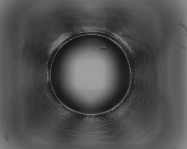 X0000093381269200710191128