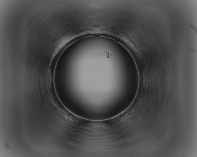 X0000093381270200710191128