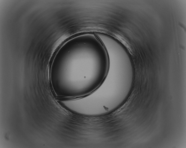 X0000093381275200710191128