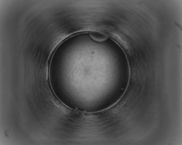 X0000093381276200710191128
