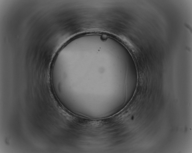 X0000093381279200710191128
