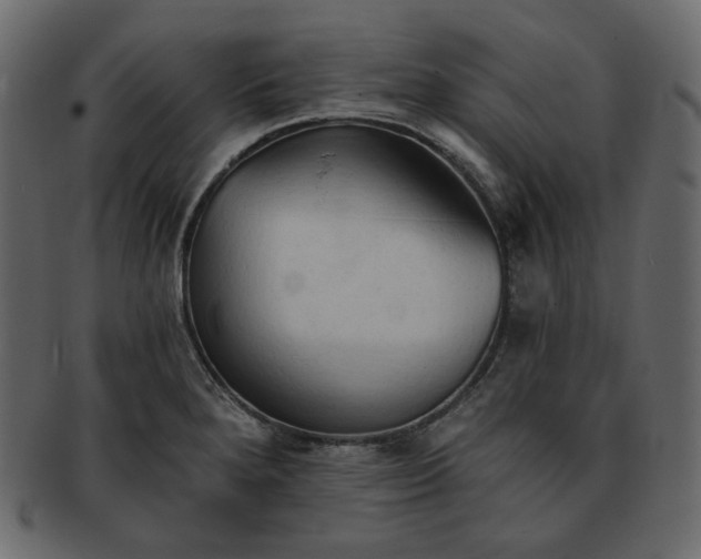X0000093381280200710191128