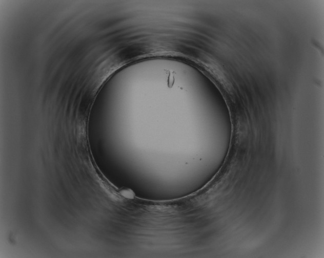 X0000093381281200710191128