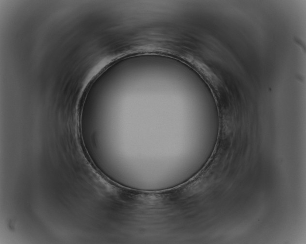 X0000093381286200710191128
