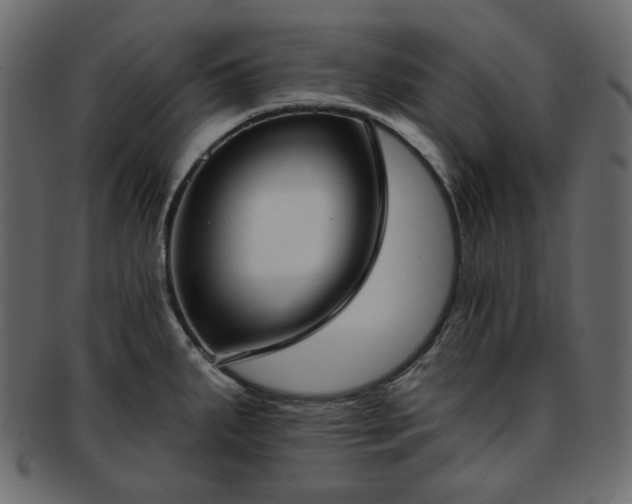 X0000093381287200710191128