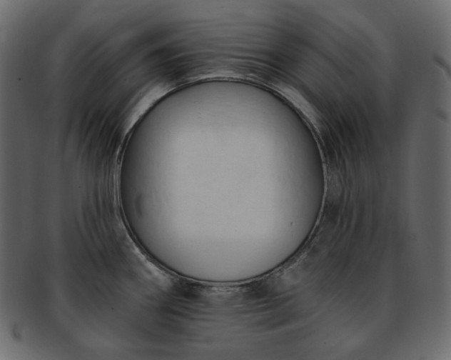 X0000093381290200710191128