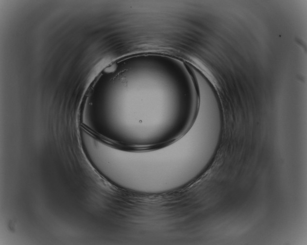 X0000093381291200710191128