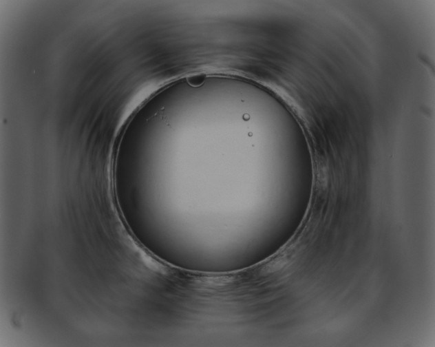 X0000093381294200710191128